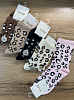 Носки, 5 пар